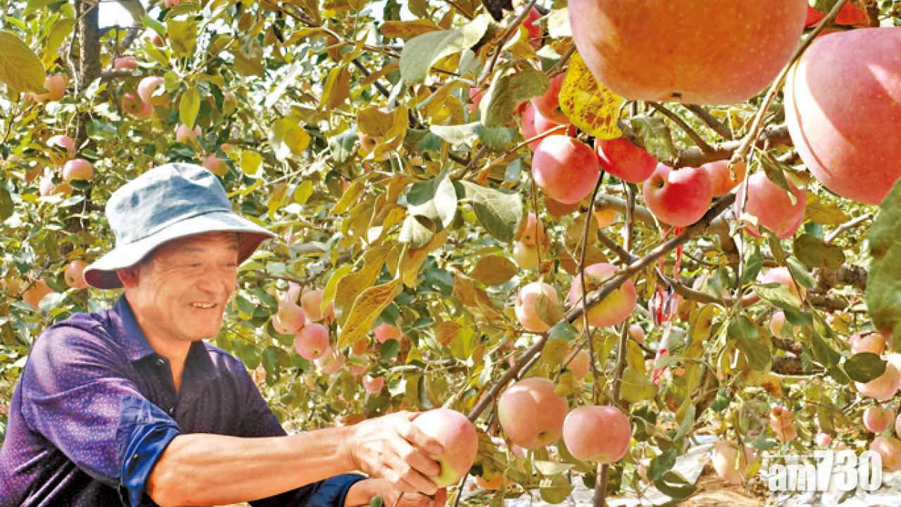 圖片新聞: 霜降