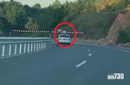 半個身伸出車頂天窗 13歲男童撞限高橫杆亡