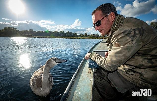 孝鵝重親情捨自由
