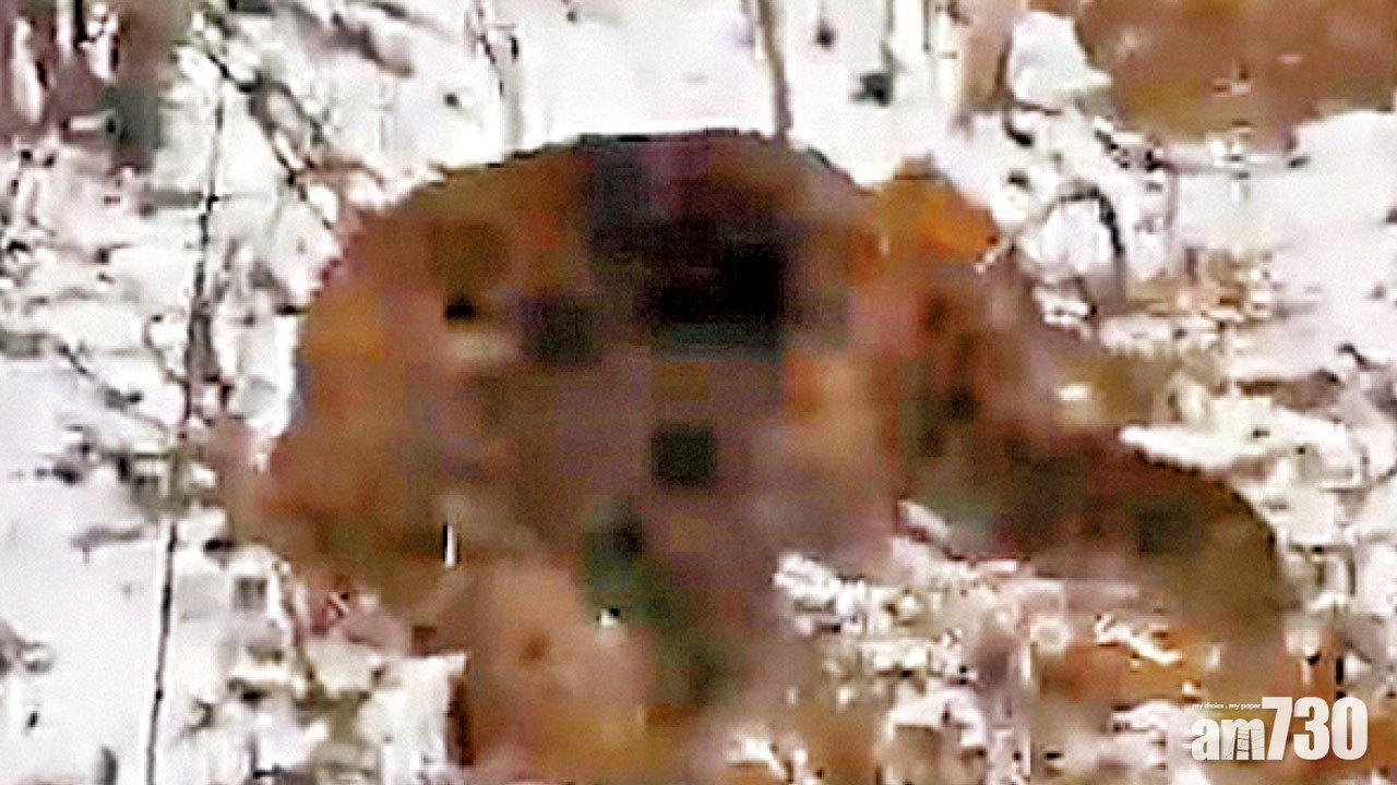 慘遭棕熊分屍  少年捨身勇救堂弟