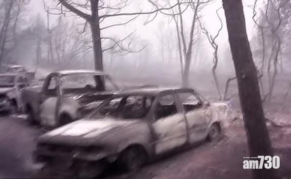 【加州山火】倖存者看著朋友燒死  隨狐狸逃生避過一劫