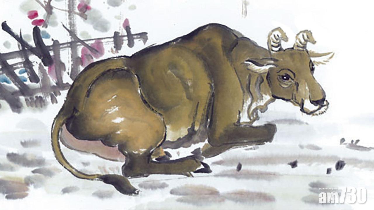 政府擬修例打擊炒黃牛