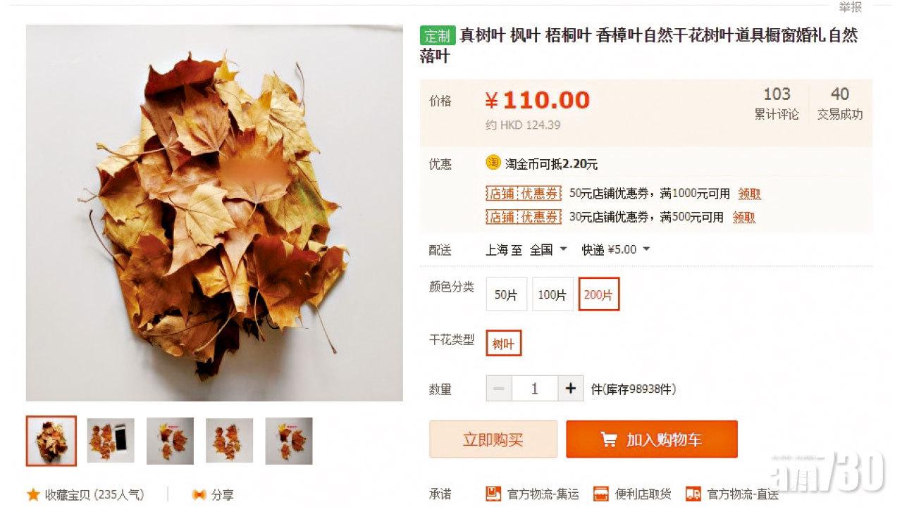 落葉變商機 200片楓葉索價110元