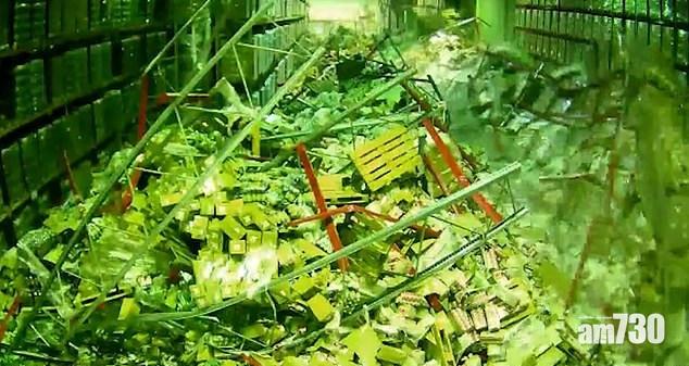 【貨倉噩夢】剷車碰到貨架  4排貨決堤倒冧(有片)