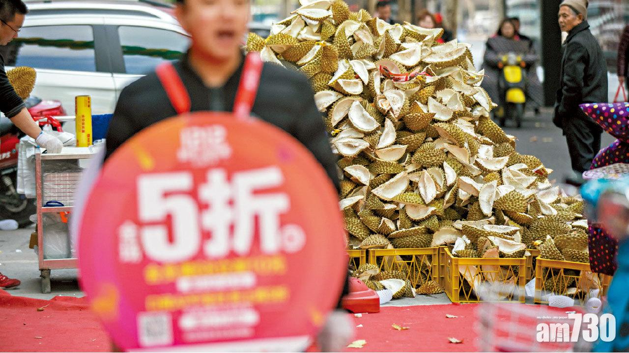 中國進口榴槤年近40億元 大馬農地轉型狂種掘金