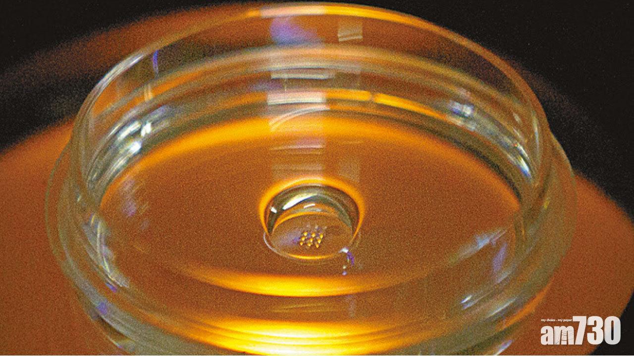 基因編輯人胚胎實驗  科技部：最長14天