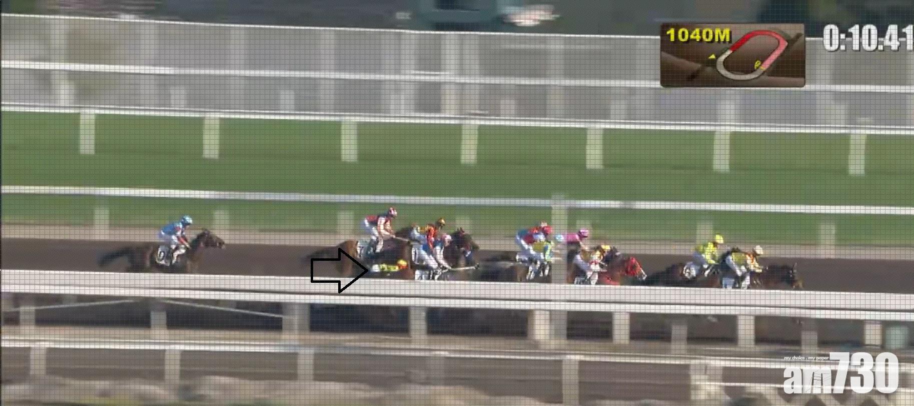 騎師楊明綸墮馬