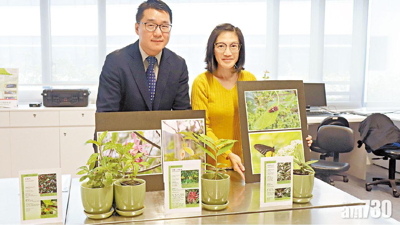 原生植物提高生物防風力 學者倡用分類索引助栽種