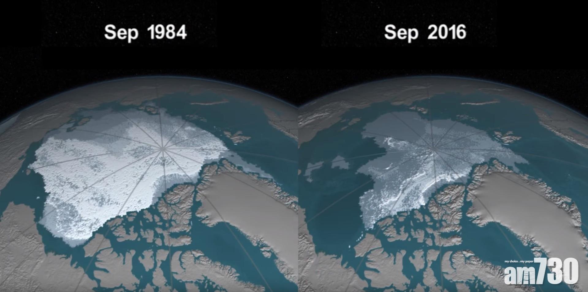 【年輕唔一定好】北極「老冰」大減95% 夏季恐完全無冰