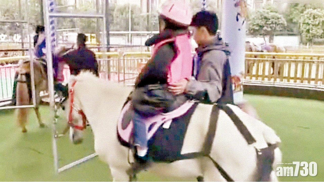 成都「旋轉真馬」重開  負責人：新韁繩令馬匹更舒服