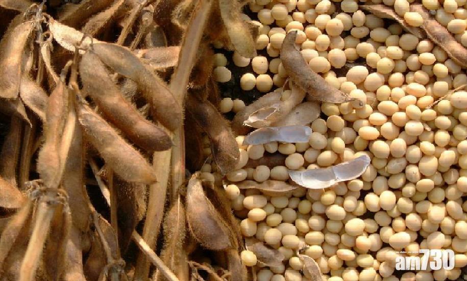 傳媒指中國採購1.8億美元美國大豆