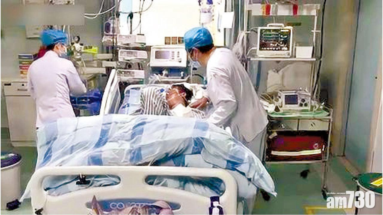 網購金銀花實收斷腸草 粵男險中毒亡