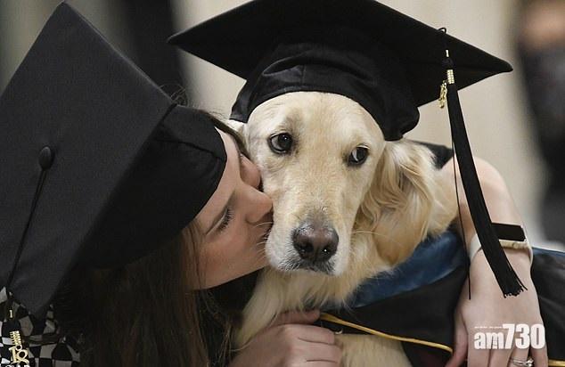主戴碩士帽 金毛犬獲頒文憑