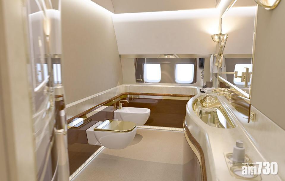 【黃金廁板】病童獲邀參觀普京39億私人飛機