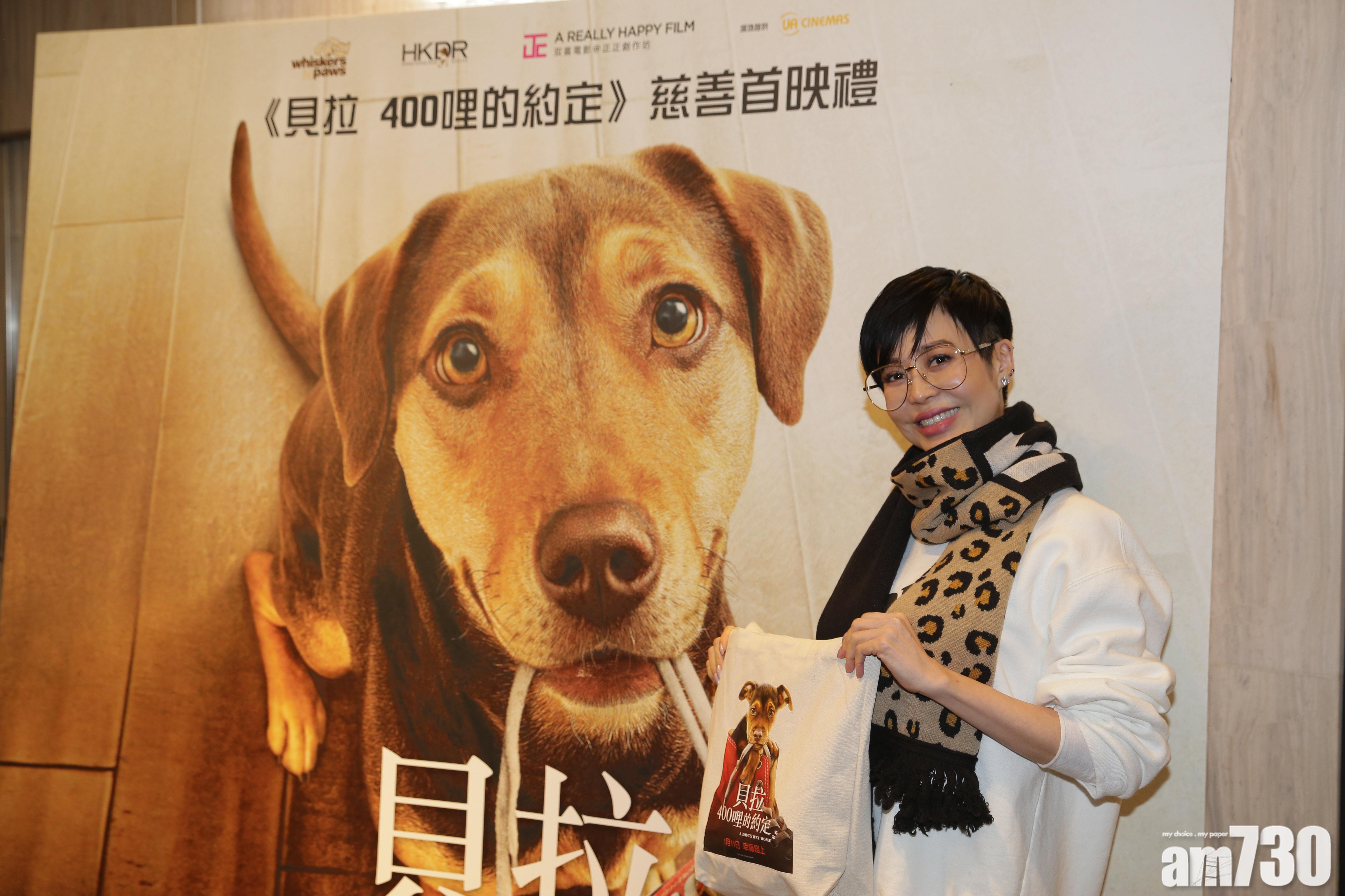 囝囝破壞力驚人 孫佳君︰等如養12隻狗咁