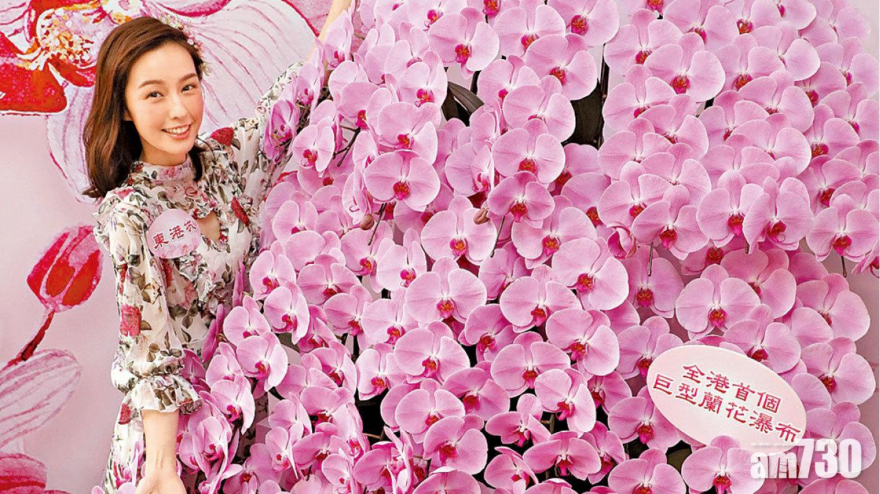 開運蘭花「莎拉金」 東港城下周六8元株