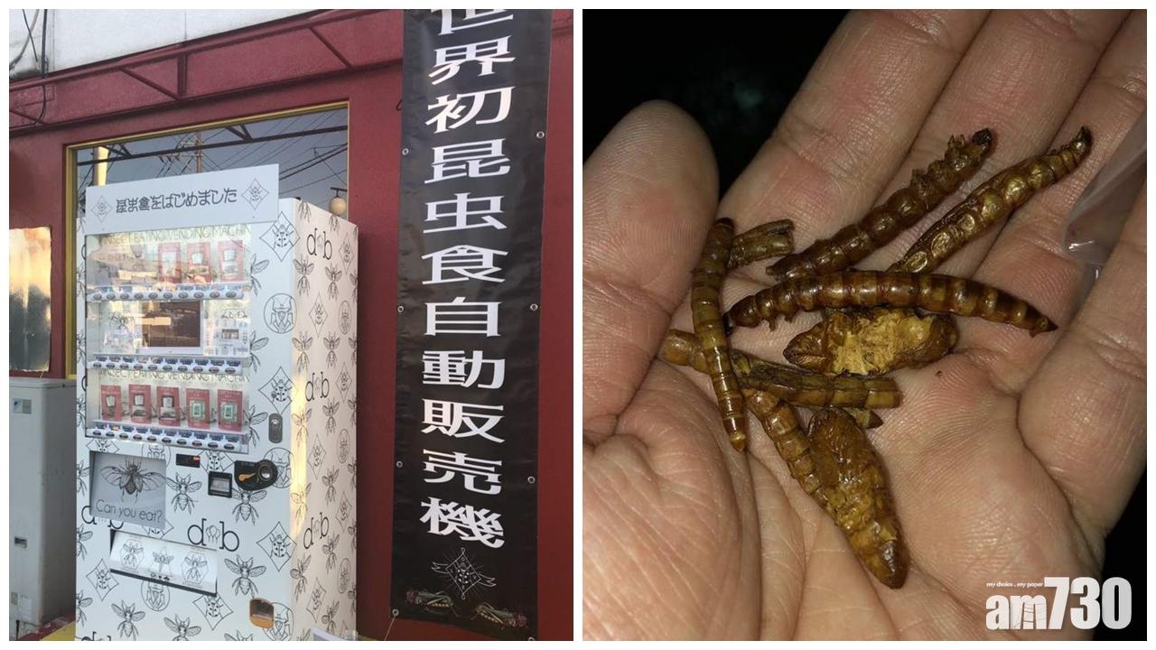 「世界首部昆蟲零食自動販賣機」日本熊本出沒