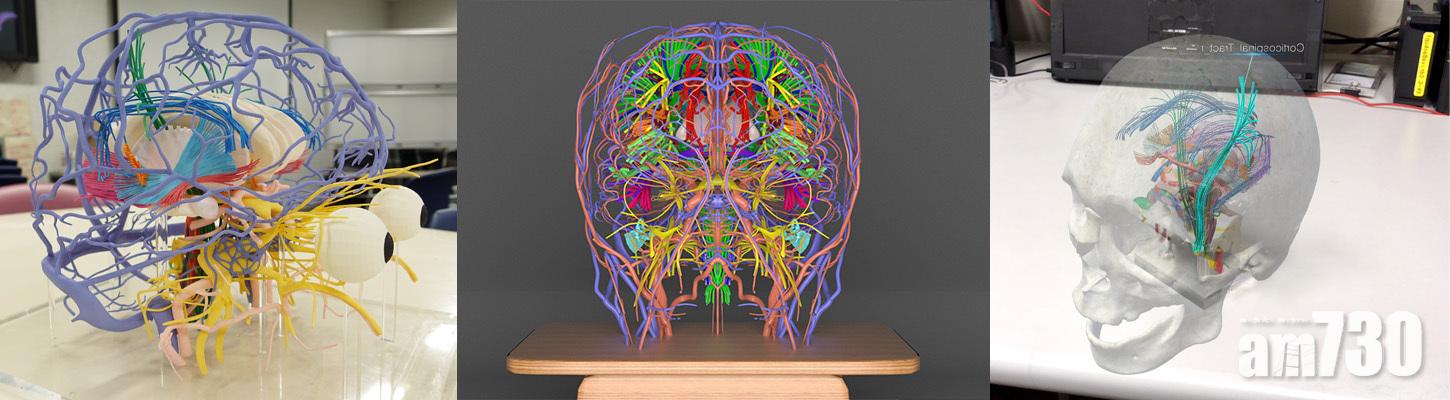 印你個頭！世界最精密頭部3D打印檔免費下載