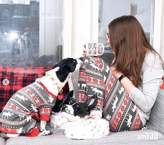 【毛孩毛鞋】 萬千寵愛在雙足