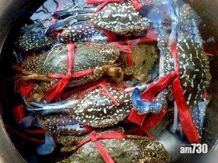 【當晚食晒】為食怪賊打劫5.5公斤花蟹