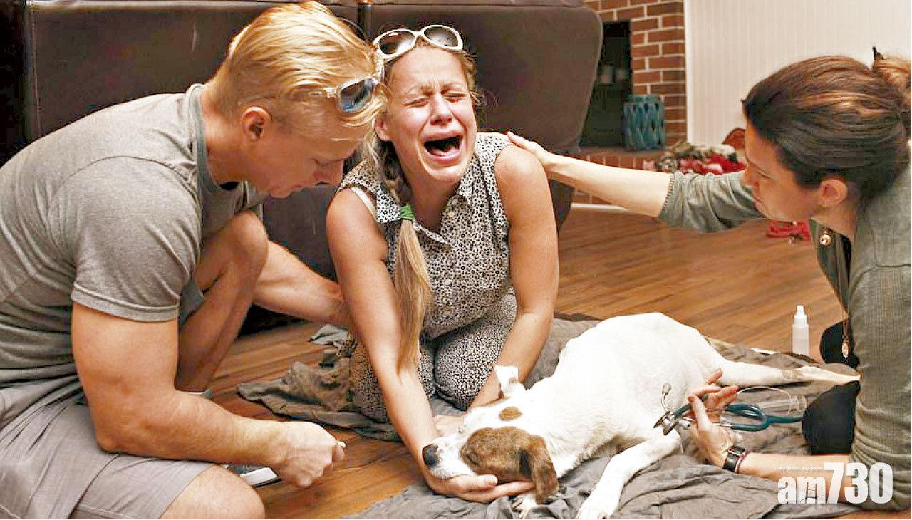 生離死別斷腸時