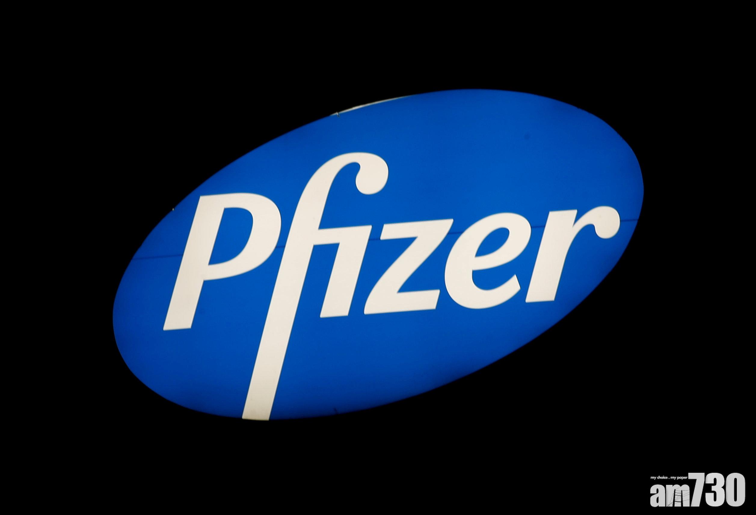 輝瑞藥廠第四季純利微升