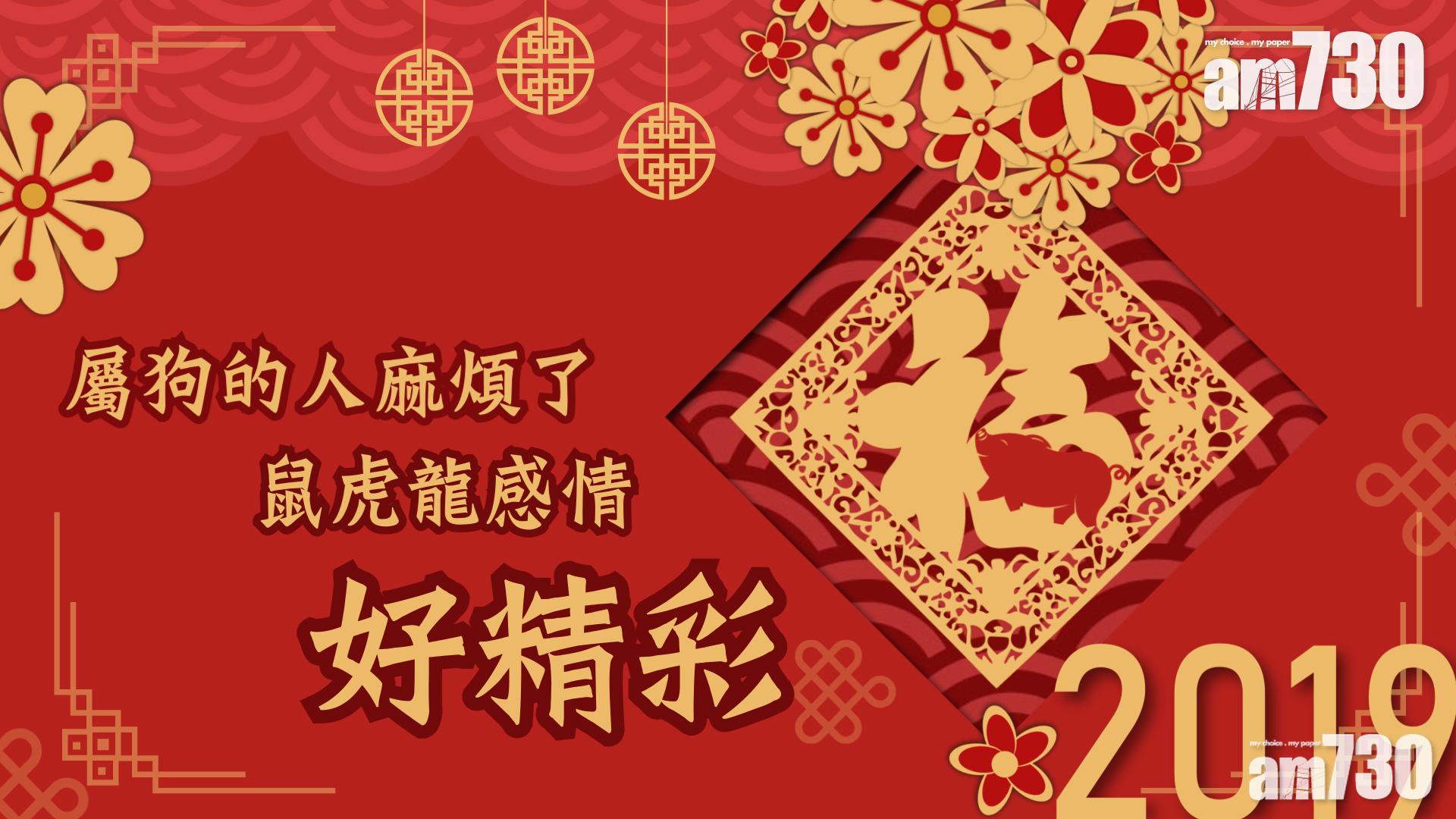 【2019豬年運程】屬狗的人麻煩了 鼠虎龍感情好精彩