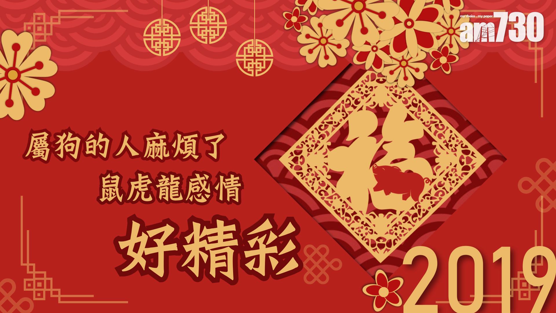 【2019豬年運程】屬狗的人麻煩了 鼠虎龍感情好精彩