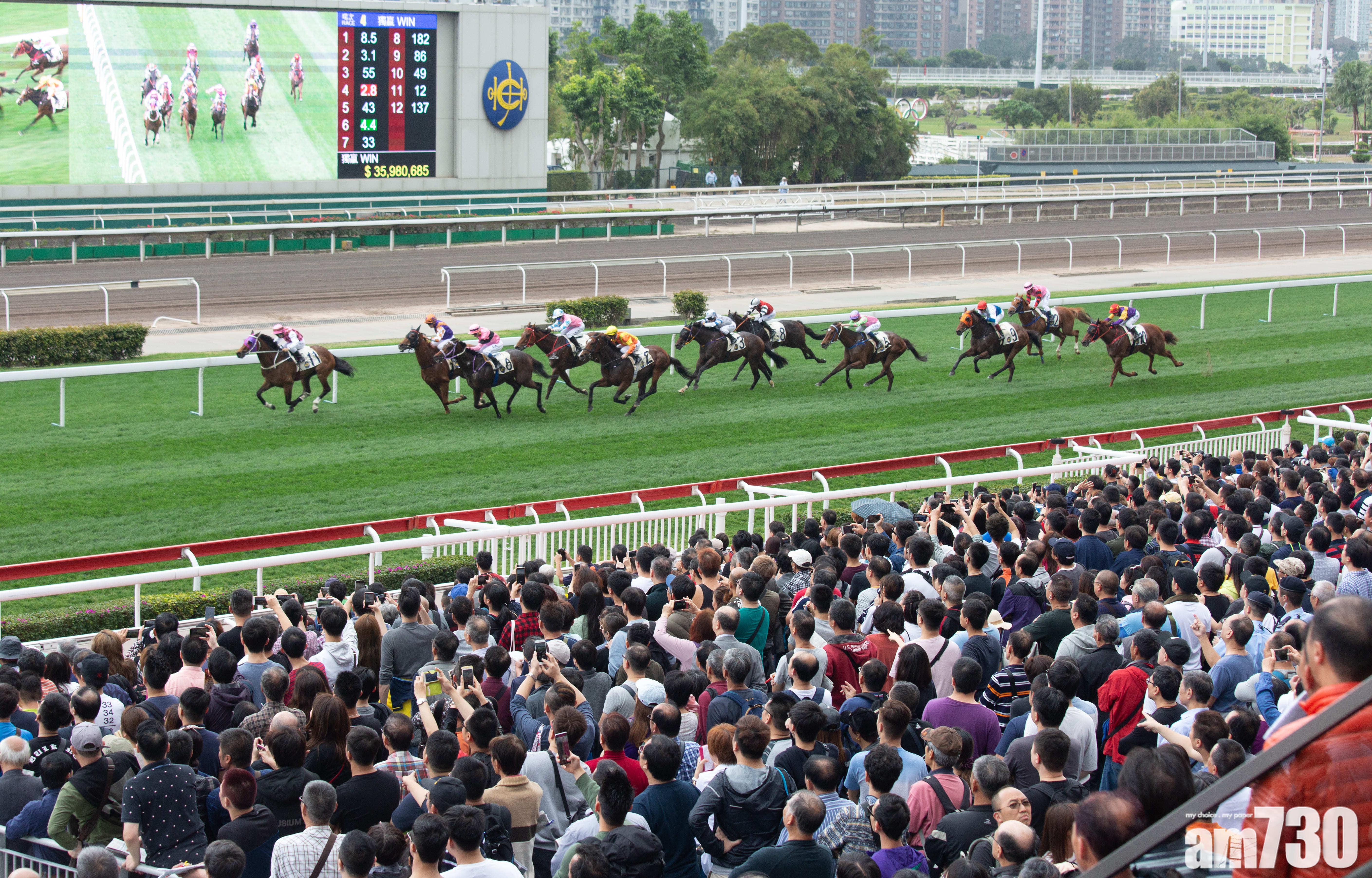 賀歲馬開鑼  發新年財
