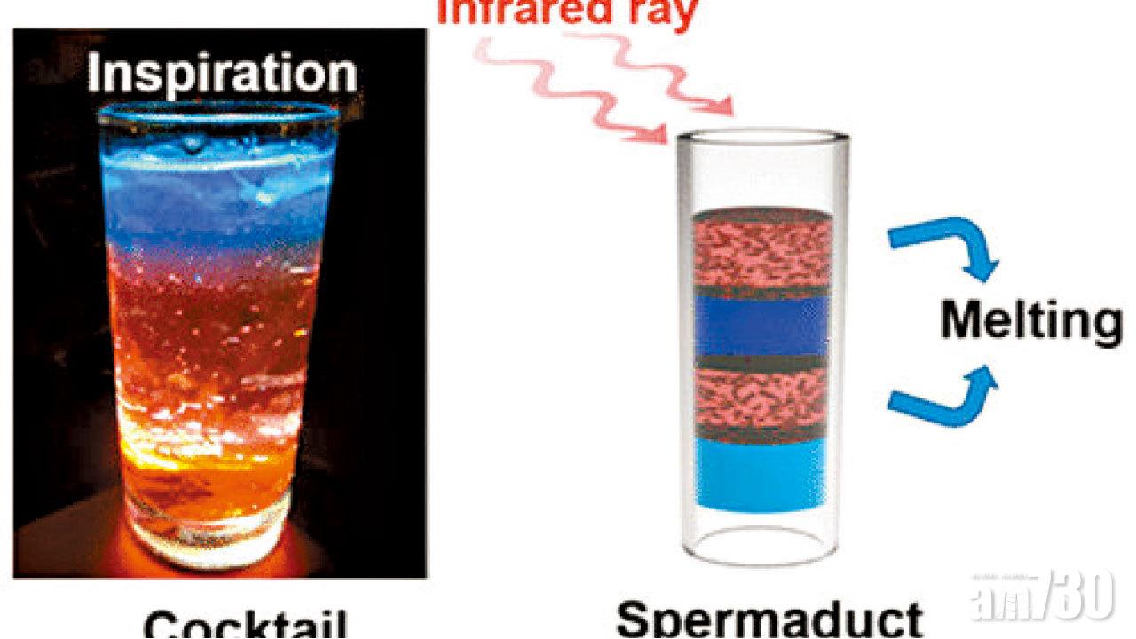 分層雞尾酒啟發 內地研男性避孕新法