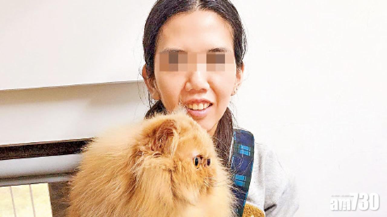 港女買貓被拒 赴台偷2貓扮大肚運港