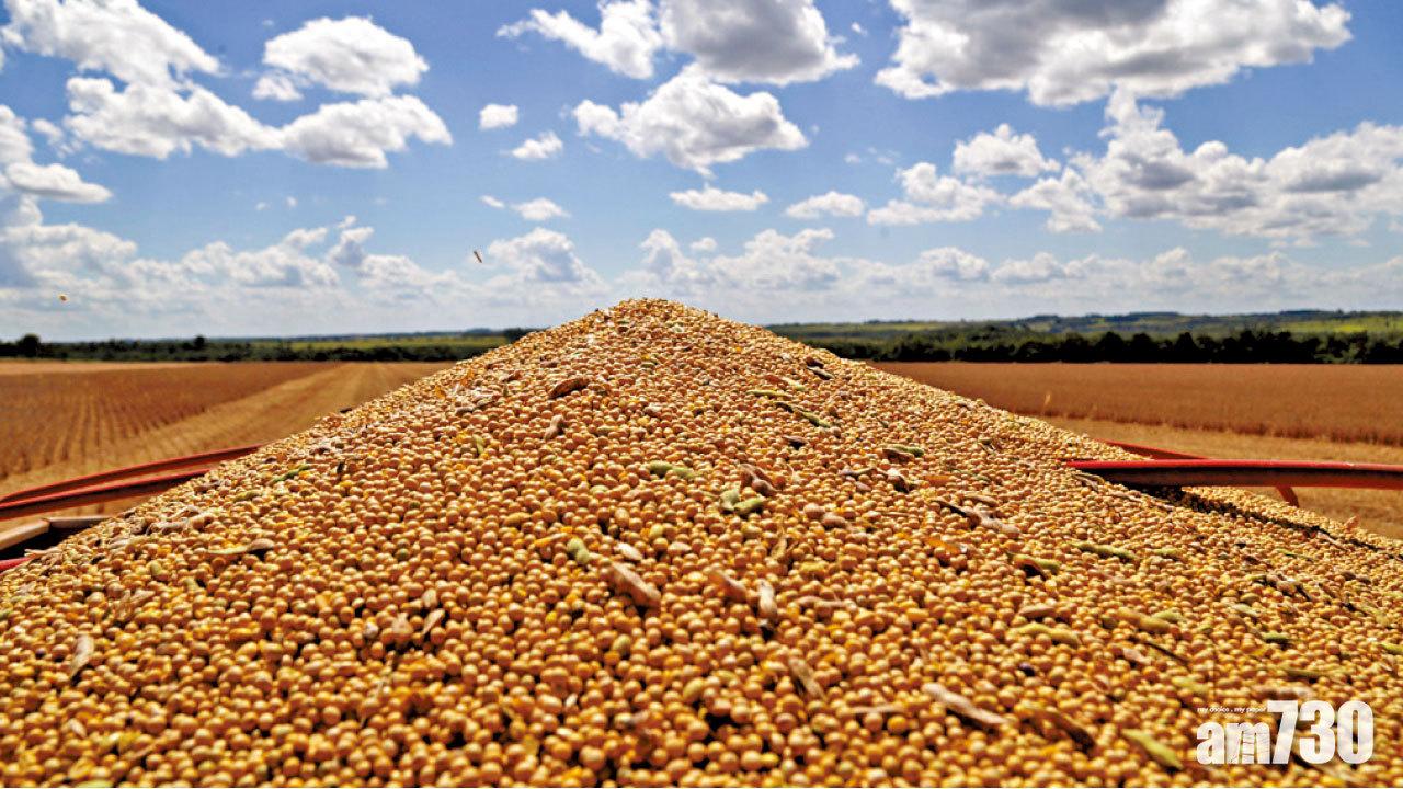 中央一號文件提出擴大種植 中國承諾：美仍是重要大豆夥伴