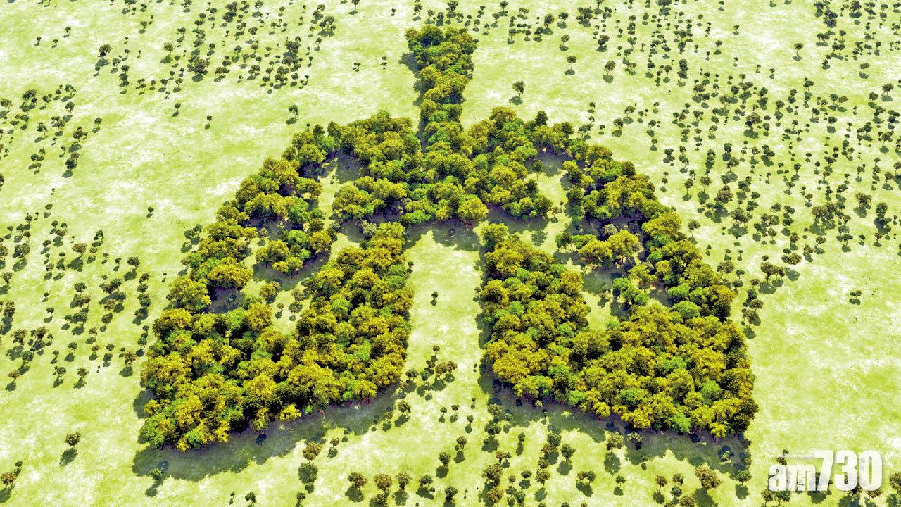 免疫治療 肺癌新出路