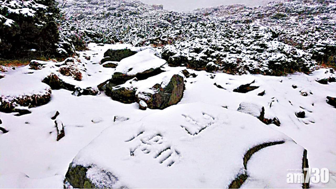 圖片新聞:賞雪