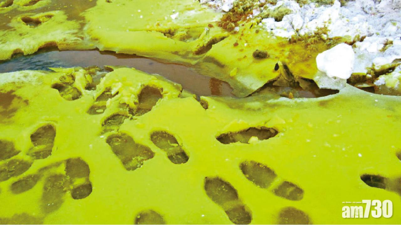 俄國駭人綠雪  有毒工業廢料惹民憤