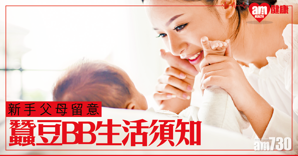 蠶豆BB生活須知