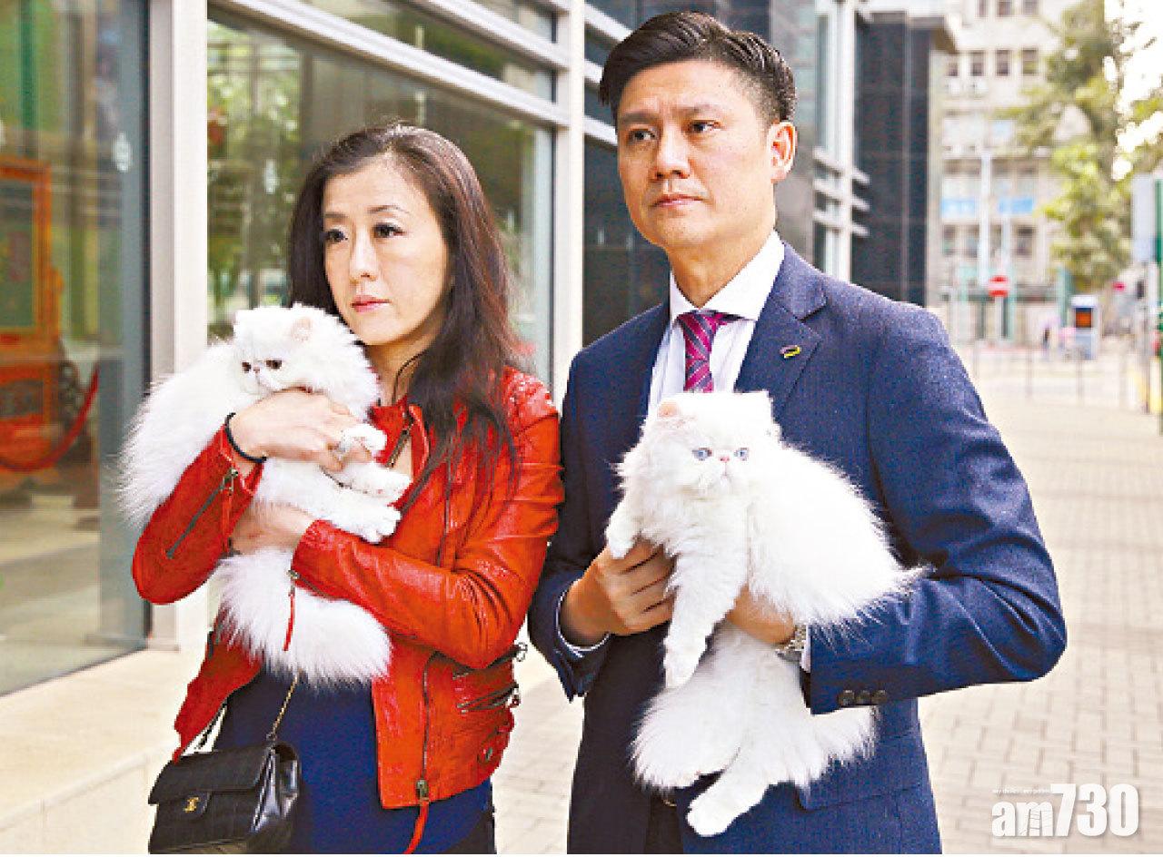 港女赴台灣偷貓案 貓主求助海關