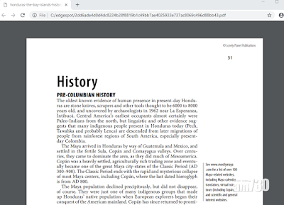 Chrome被發現讀取PDF漏洞
