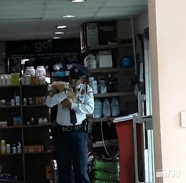 【如哄寶寶】抱狗仔輕搖氹睡覺 鐵漢保安展溫柔  (有片)