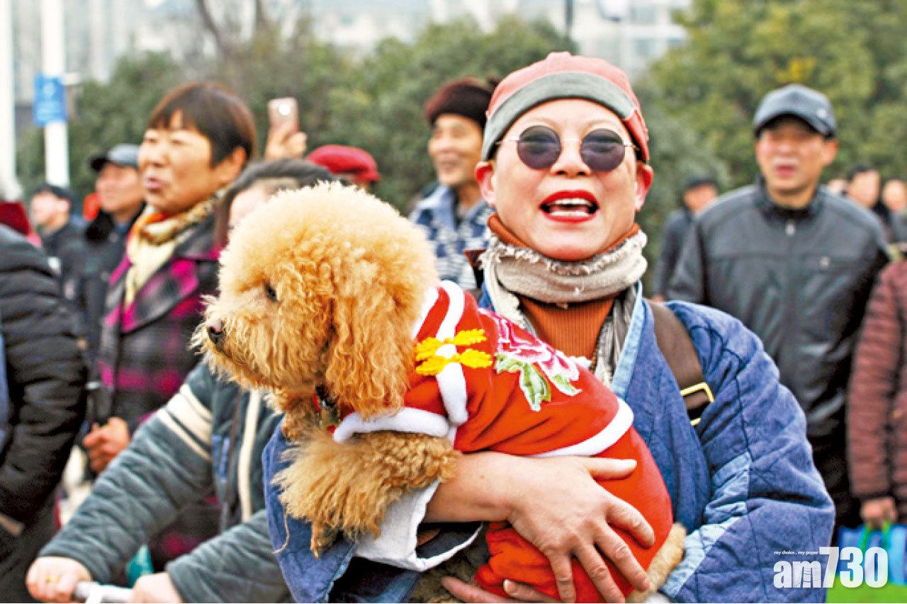 嚴懲偷狗 規範養狗 政協委員倡立法保護家犬