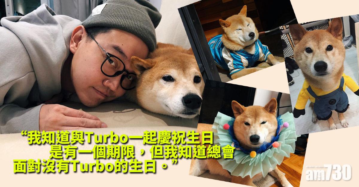 Jackal@Dear Jane 遇同月同日生柴犬 