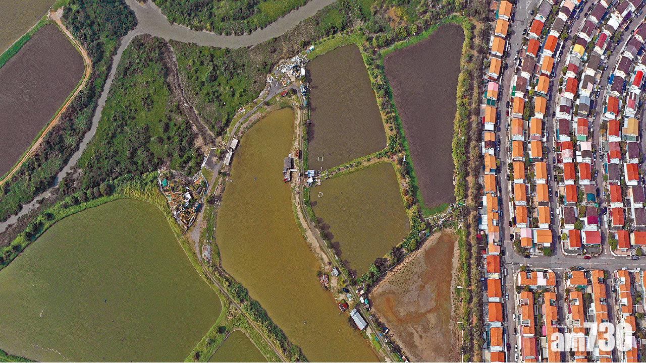 【濕地前途系列】 研究濕地緩衝區增建房屋 誘發展商注資保育基金