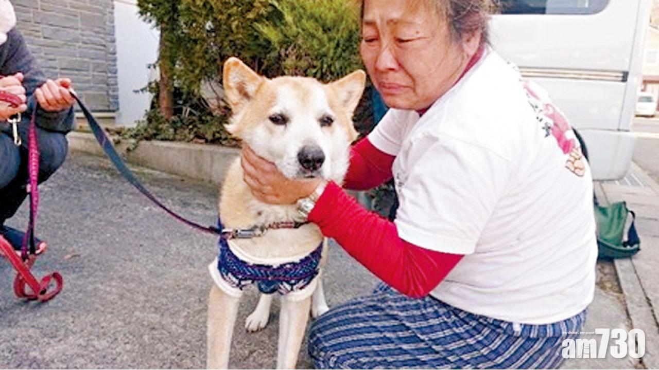 核災八載重逢 你仍活著呢！