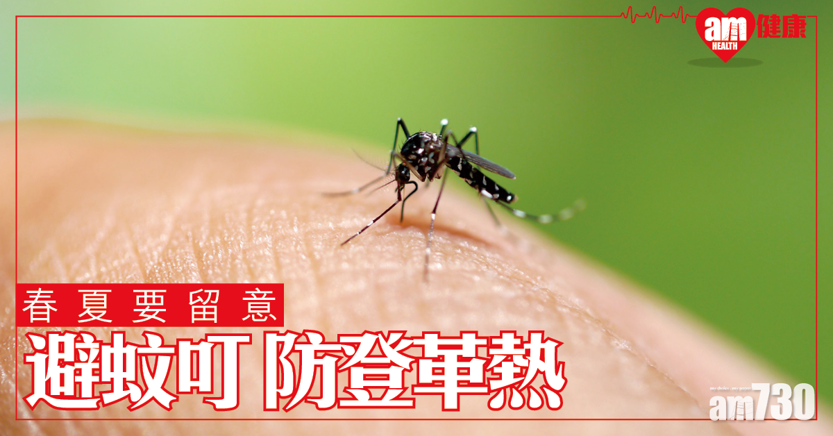 避蚊叮 防登革熱