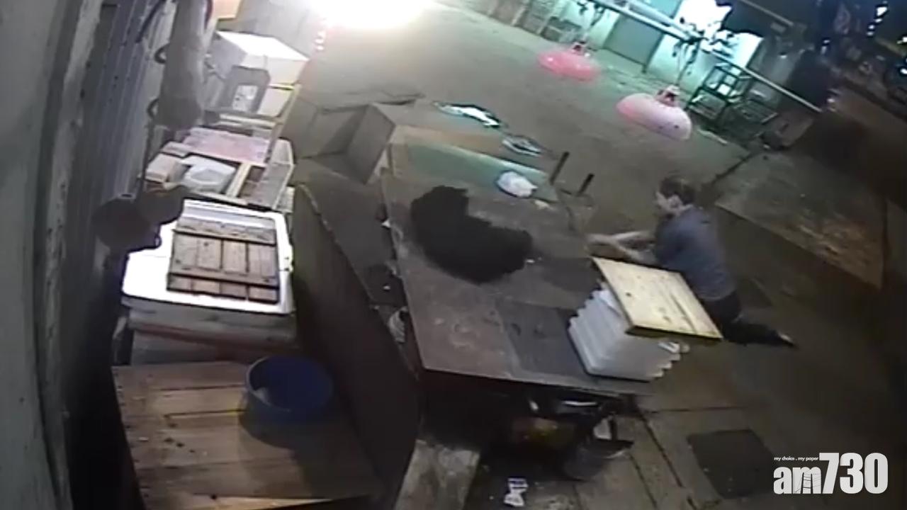 高球棍虐打唐狗 送貨工被判感化18個月及寄宿戒毒