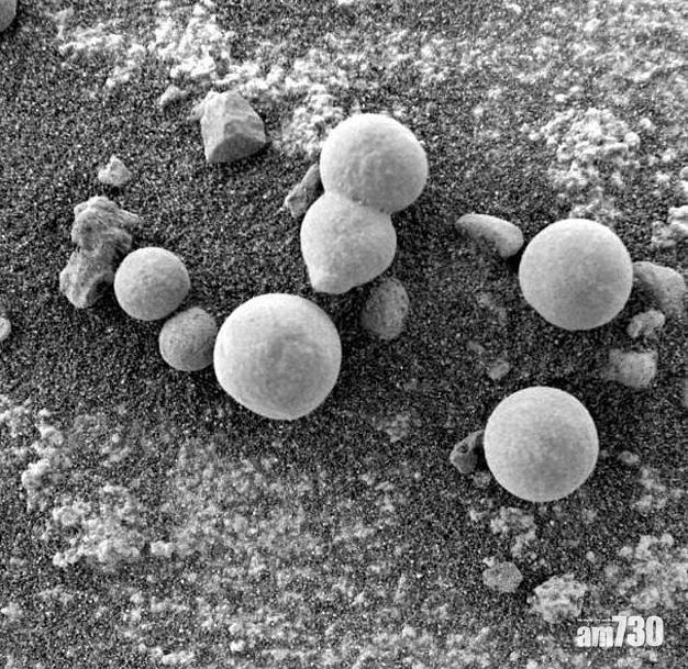 【外星生命？】NASA照片 顯示火星表面有「蘑菇」 
