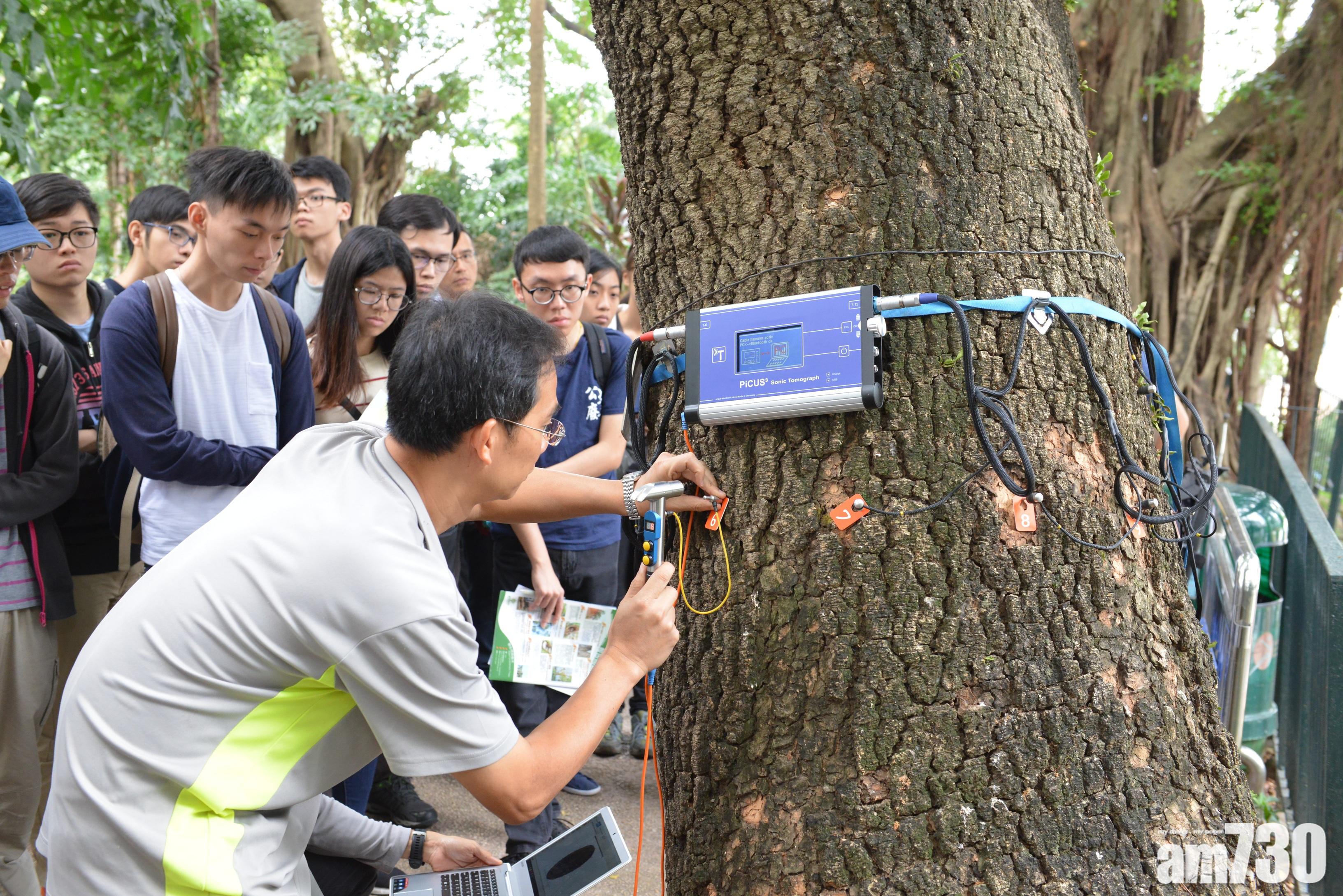【樹藝師】 陳茂波冀2億基金引年輕人入行