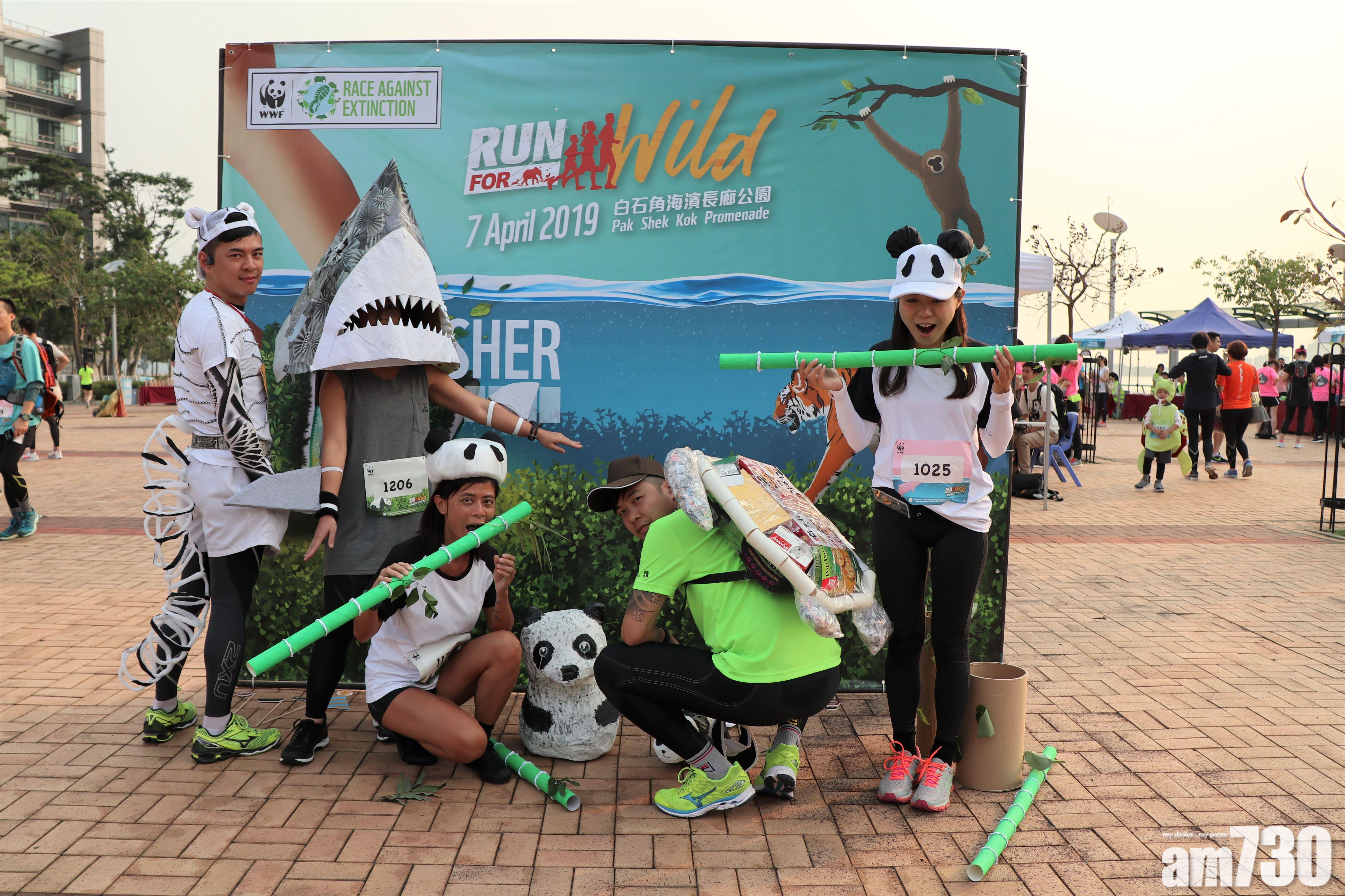 大熊貓綠海龜齊現身大埔？