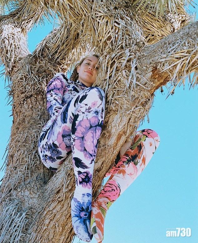 天后攀樹與庶民同罪