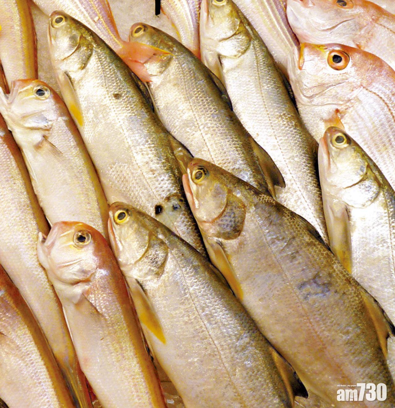 食安中心發現六成水產含錫